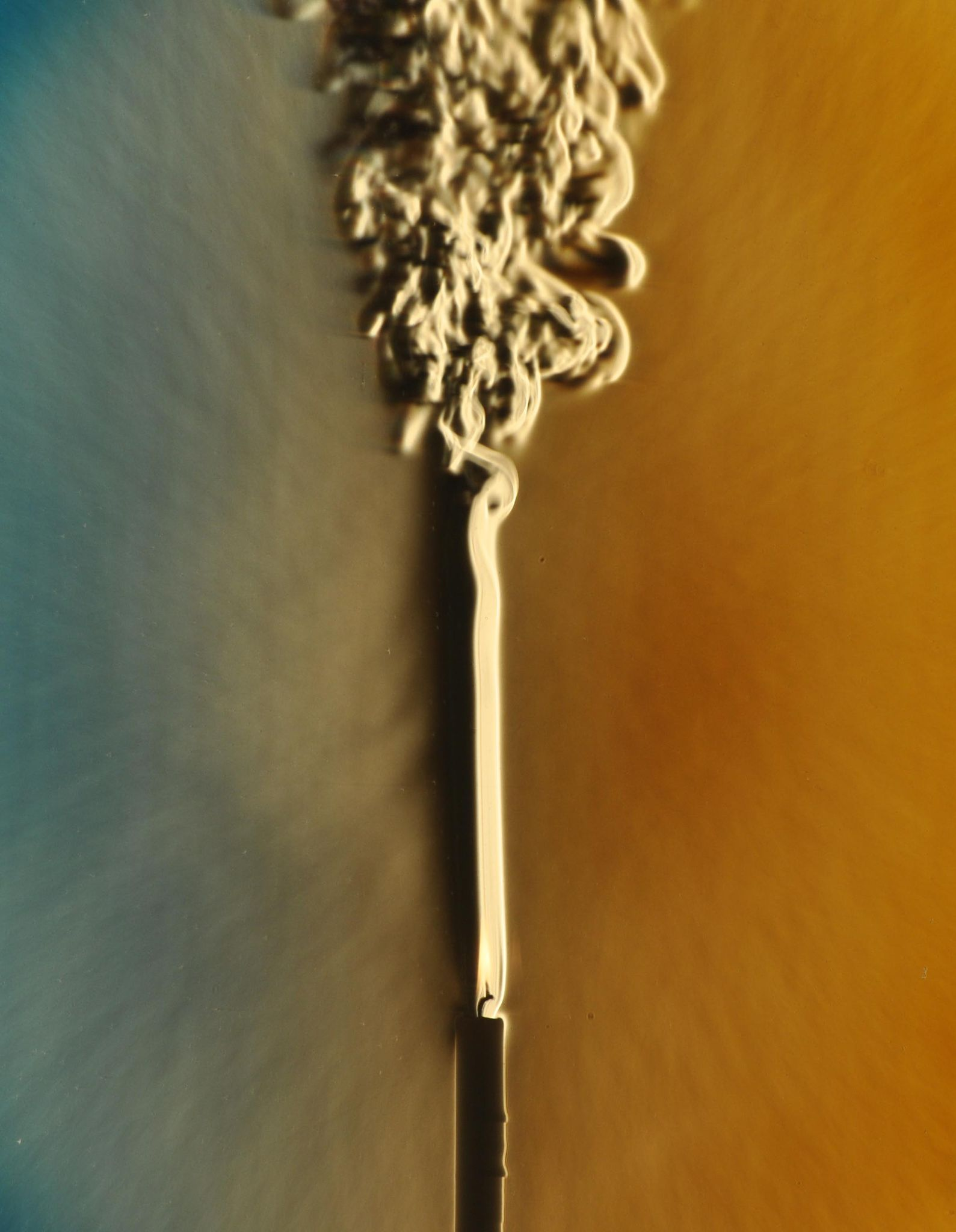 Laminar to turbulent transition in a rising smoke plume
